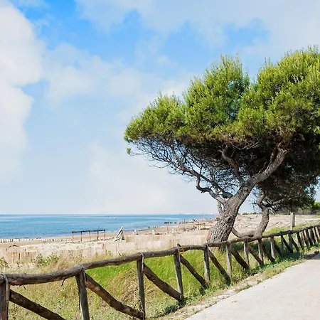 Bright With Terrace And Ocean View