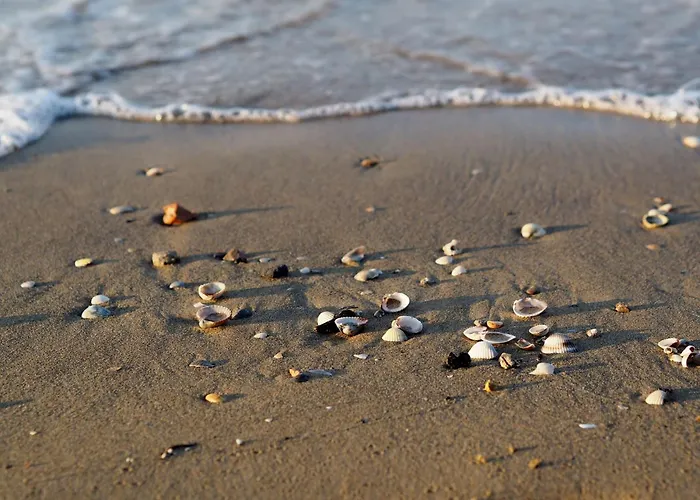 Bright With Terrace And Ocean View * Bibione